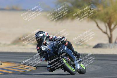 media/Feb-04-2023-SoCal Trackdays (Sat) [[8a776bf2c3]]/Turn 4 (Tree of Life 2pm)/